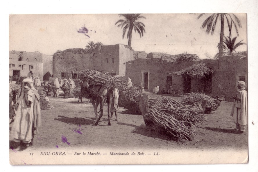 11  -   SIDI  -  OKBA  -  sur le  marché  -  Marchands de  Bois