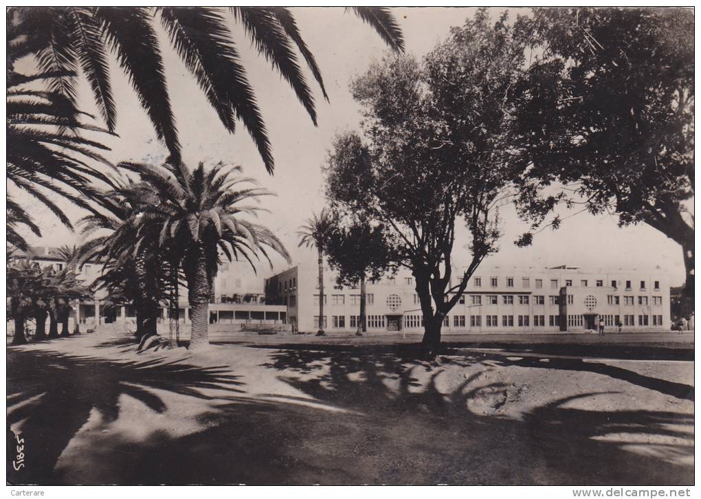 ALGERIE,ALGERIA,AFRIQUE FRANCAISE,COLONIE,MAGHREB ,1949,Lycée GARCON DE BONE,ANNABA,cachet bone constantine