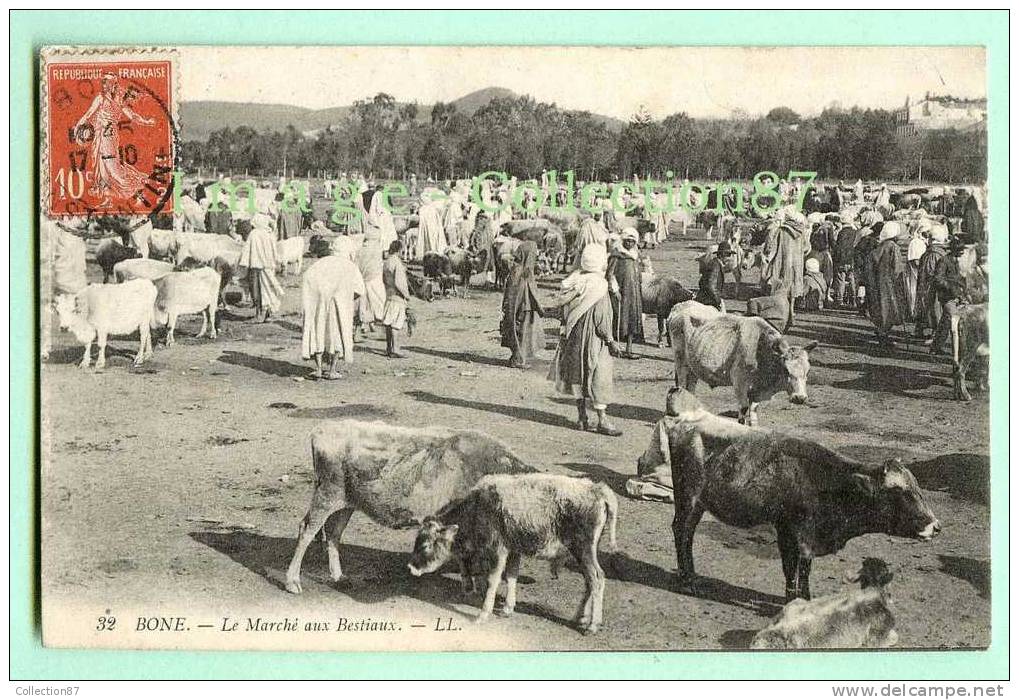 AFRIQUE du NORD - ALGERIE - BONE - FOIRE aux BOEUFS - MARCHE aux BESTIAUX