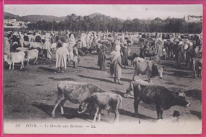 ALGERIE  376    BÔNE   Le Marché aux Bestiaux