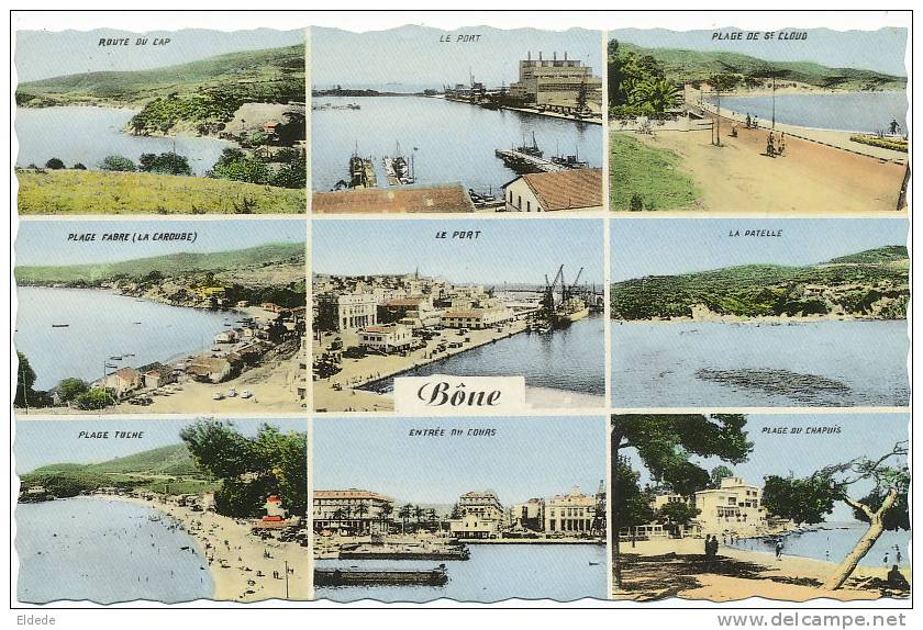 Bone Multi vues 9 differentes vues  Plages , Patelle  No 855