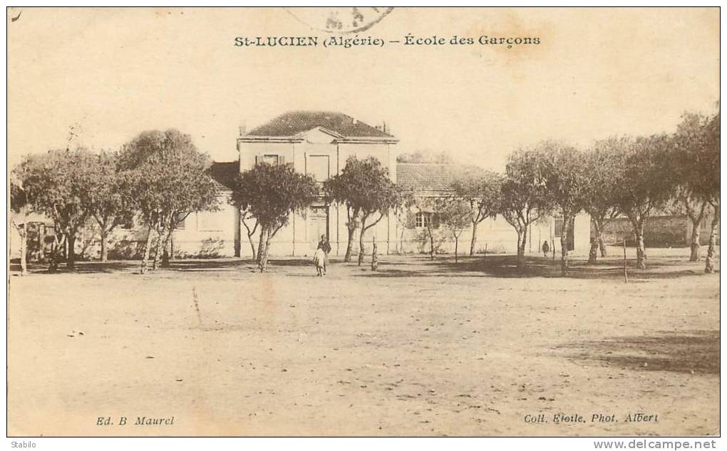 ALGERIE - SAINT-LUCIEN - ECOLE DES GARCONS