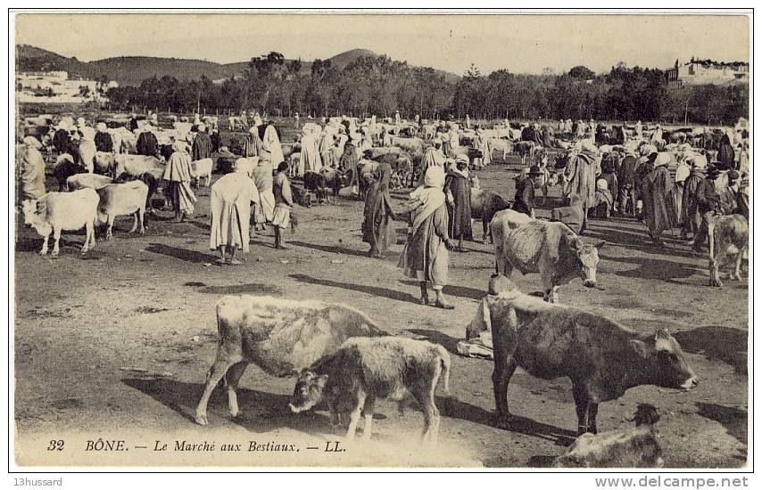 Carte Postale Ancienne Algérie -  Bône. Le Marché aux Bestiaux - Foire, commerces, boeufs, bovins