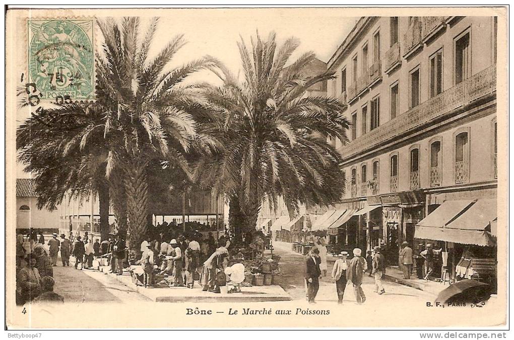 ALGERIEBONE LE MARCHE AUX POISSONS