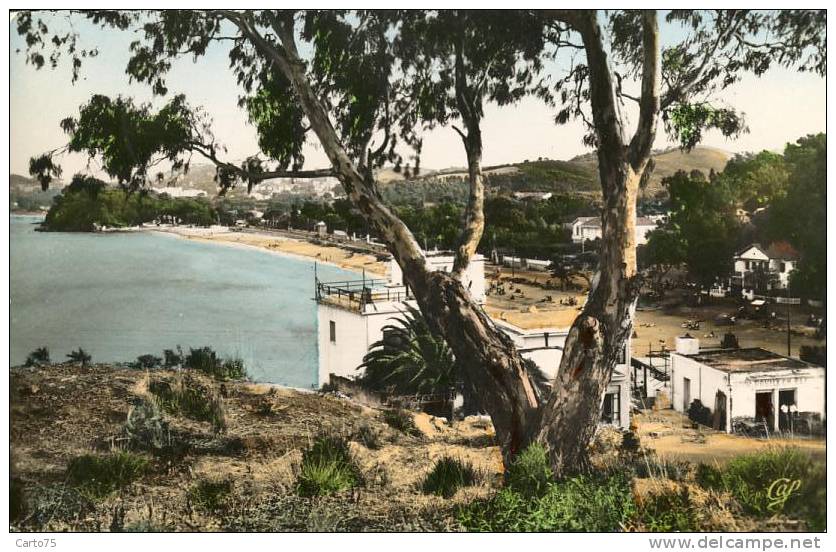 ALGERIE - Bone - La Corniche