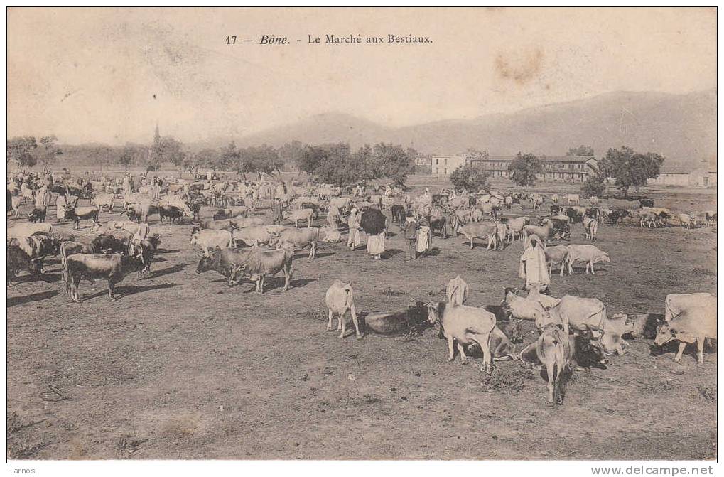BÔNE - LE MARCHE AUX BESTIAUX