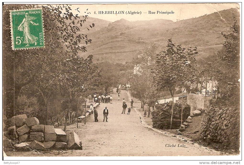 ALGERIEHERBILLON RUE PRINCIPALE N°4