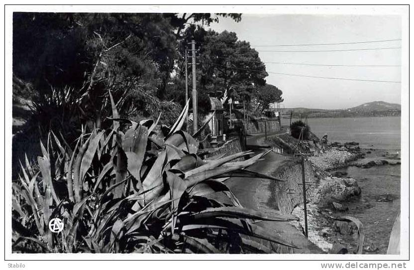 ALGERIE - BONE - LA CORNICHE