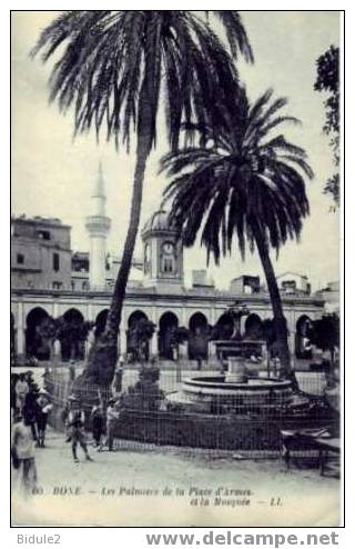 Bone   Les Palmiers de la Place d'Armes