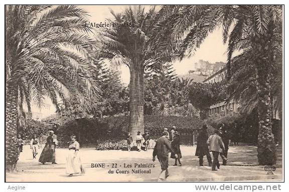ALGERIE- ref no 665- bone -  les palmiers du cours national- l algerie illustree  - bon etat