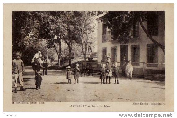 LAVERDURE - Route de Bône - CPA faux pli sinon TBon Etat