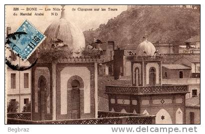 BONE        226   LES NIDS DE CIGOGNE SUR LES TOURS