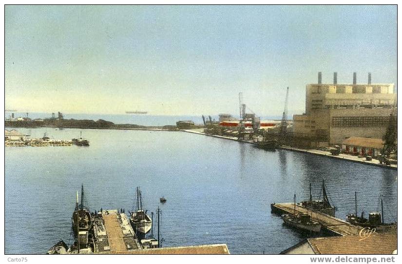 ALGERIE - BONE - Le port