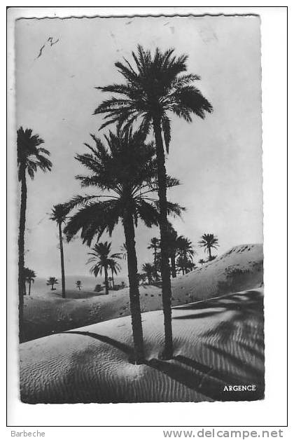 COLOMB-BECHAR .- Les Dunes  .-883.E