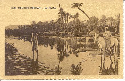 CP . COLOMB - BECHAR ( Algérie )