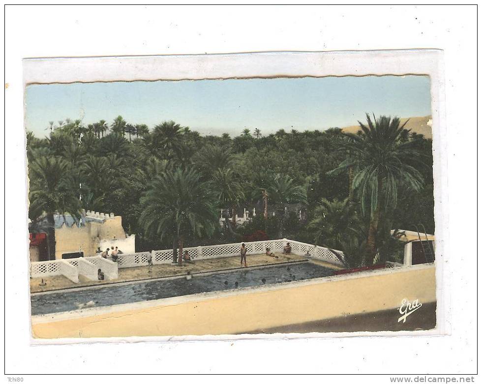 COLOMB-BECHAR_222_La piscine et la Palmeraie