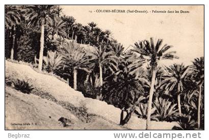 COLOMB BECHAR       14   PALMERAIE     DANS LES DUNES