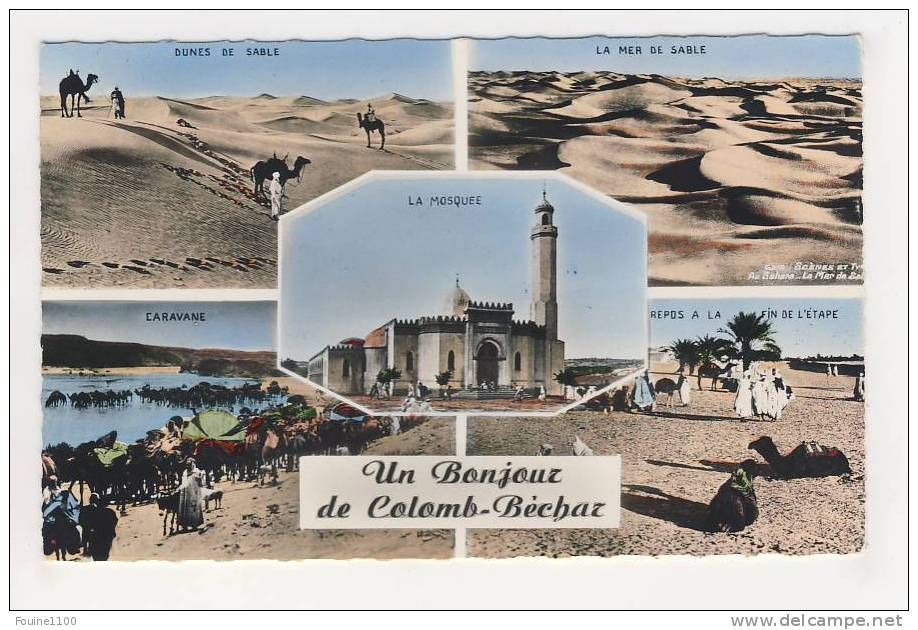 colomb béchar un bonjour