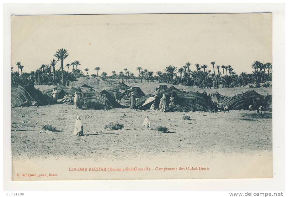 ALGERIE colomb béchar campement des oulad djerir   ( recto verso )