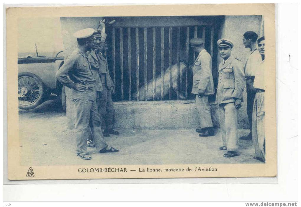 COLOMB-BECHAR    la Lionne mascotte de l'Aviation