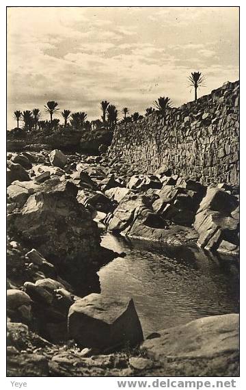 COLOMB-BECHAR - L'oued