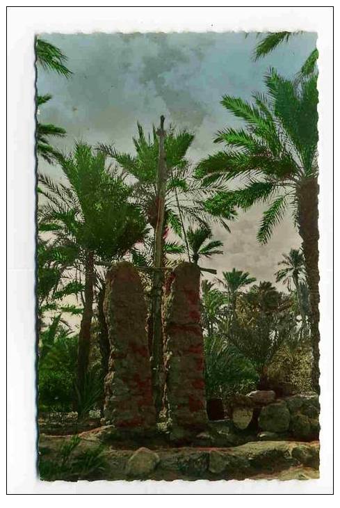 COLOMB-BECHAR UN PUITS