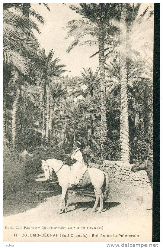 COLOMB-BECHAR  (SUD ORANAIS) ENTREE DE LA PALMERAIE REF4658