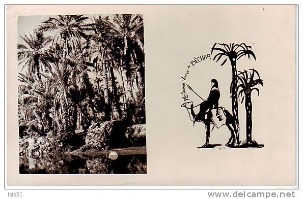 Algérie - M181 - Colomb Béchar -  (Sud Oranais)  -  état  - semi moderne petit format