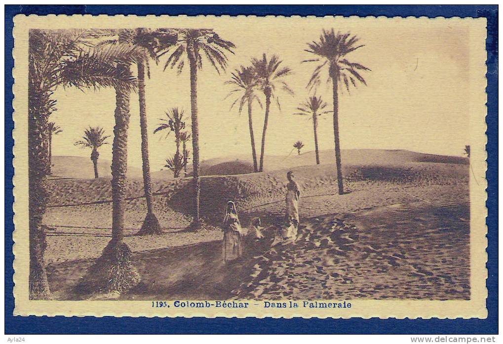 CPA   ALGERIE  Colomb Béchar  Dans la Palmeraie   enfants   Collectn Idéale