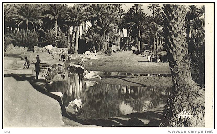 - ALGERIE - COLOMB-BECHAR - L'OUED ET LE BARRAGE -