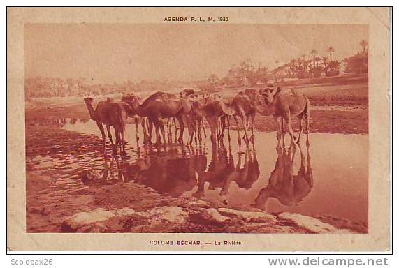 La rivière Colomb Bèchar  Algérie