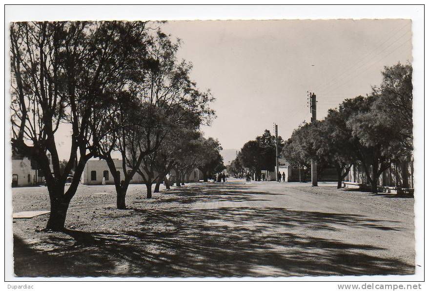 Algérie /  COLOMB - BECHAR  Avenue Poincaré