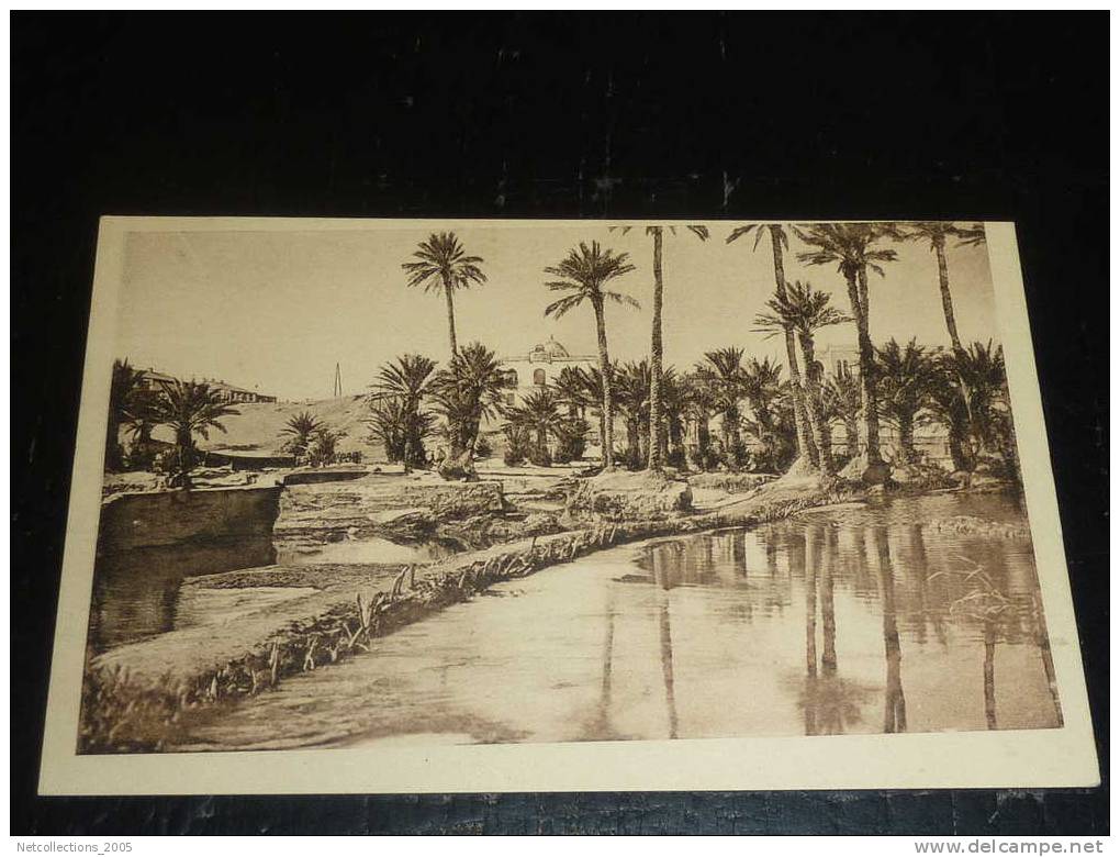 COLOMB BECHAR - BARRAGE SUR L'OUED - AFRIQUE ALGERIE