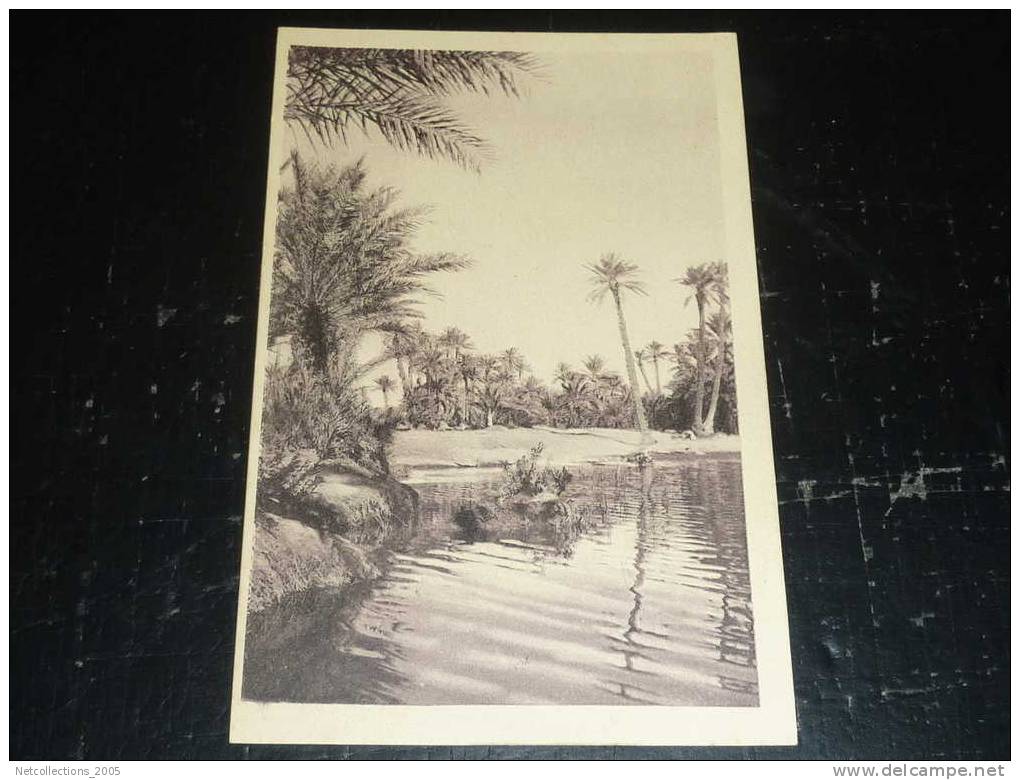 COLOMB BECHAR - LA RIVIERE - TER - AFRIQUE ALGERIE