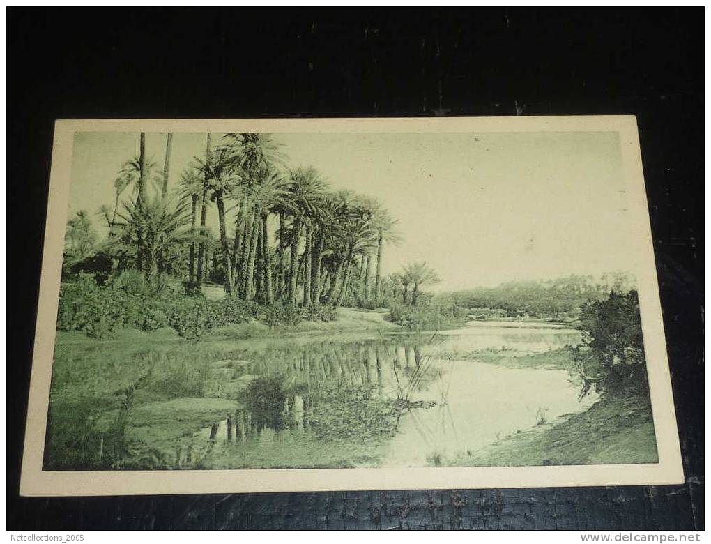 COLOMB BECHAR - LA RIVIERE - BIS - AFRIQUE ALGERIE