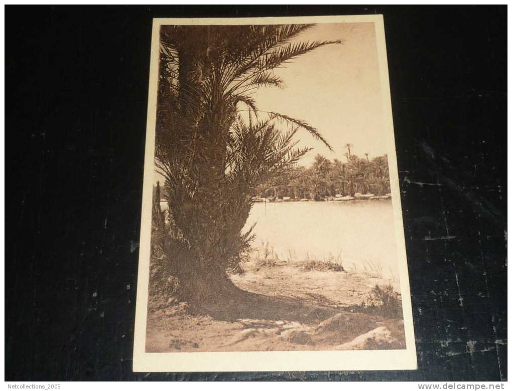 COLOMB BECHAR - LA RIVIERE - TER - AFRIQUE ALGERIE