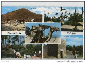 Afrique > Algérie >  Béchar - Multivues de Bellali Abdelkader - 1538