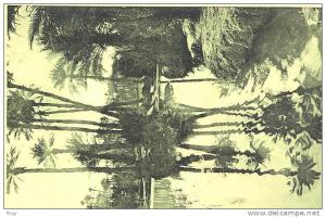 COLOMB BECHAR - 8597 - LA RIVIERE