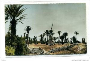 COLOMB BECHAR UNE OASIS