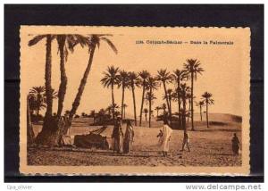ALGERIE Colomb Béchar Palmeraie, animée, ed Idéale PS 1196, 1931