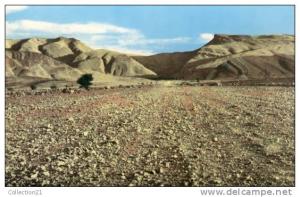 BECHAR ... PISTE DE DJENIEN