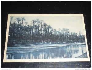 COLOMB BECHAR - LA RIVIERE - AFRIQUE ALGERIE