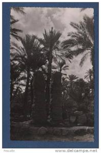 CP COLOMB BECHAR - UN PUITS