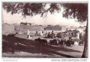 COLOMB BECHAR UNE CARAVANE REF 3558