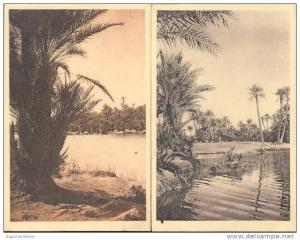 COLOMB-BECHAR LA RIVIERE 2 CPA DIFFERENTE NEUVE NON ECRITE UNCIRCULATED ALGERIE ARGELIA