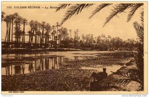 * (ALG)  COLOMB BECHAR *