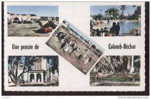 UNE PENSEE DE COLOMB BECHAR..CPSM... ECRITE....‹(•¿•)›