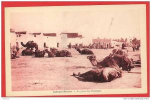 COLOMB BECHAR cpa animée La Place des Chameaux          Edit Albert