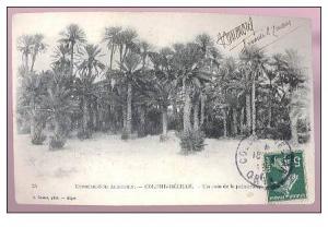 cpa, Extréme Sud Algérien, Colomb Béchar, un coin de la palmeraie , voyagé