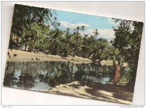 algérie   BECHAR  vu  par  argence